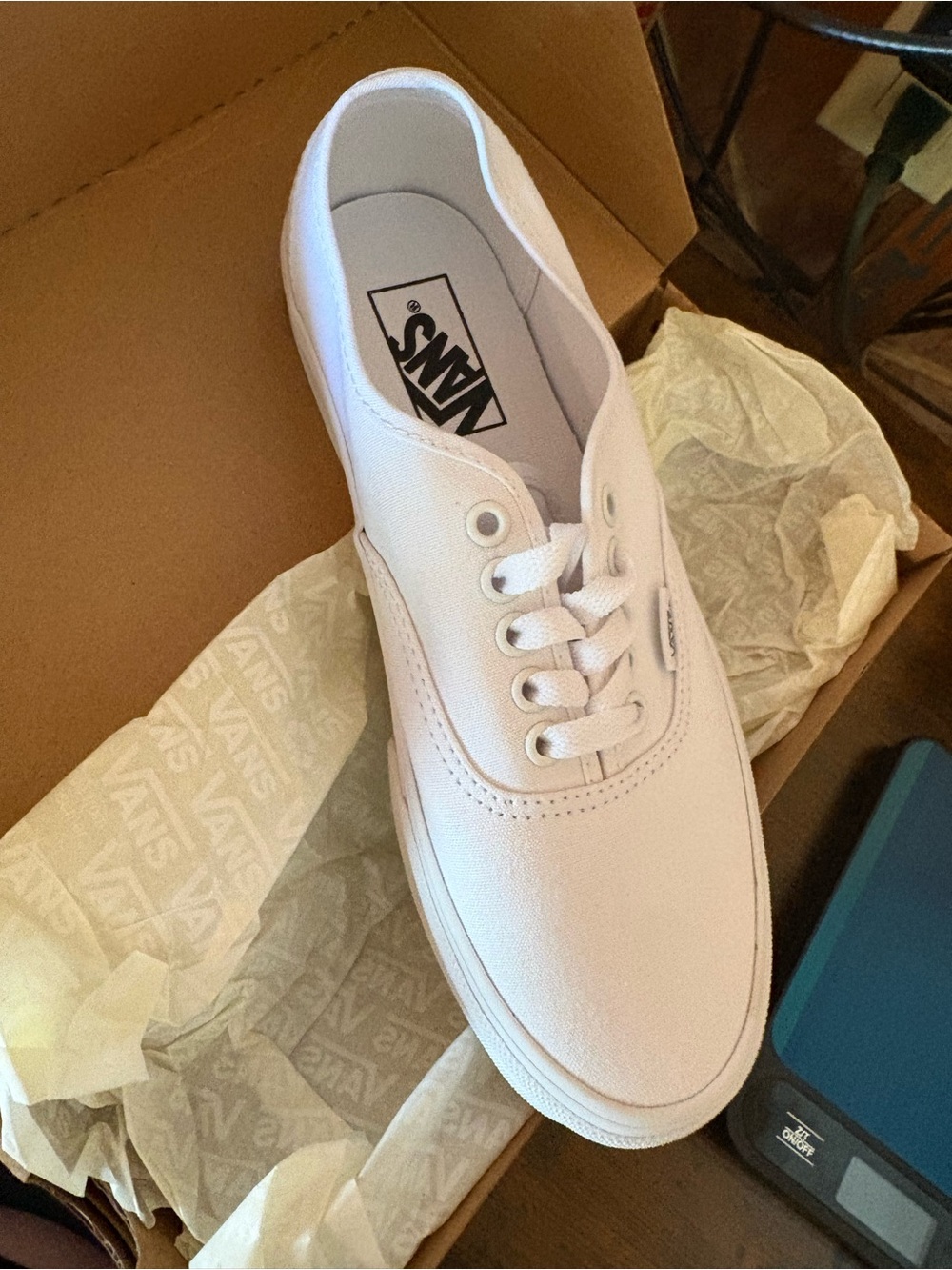 Vans White Canvas Authentic Low-Top Sneakers